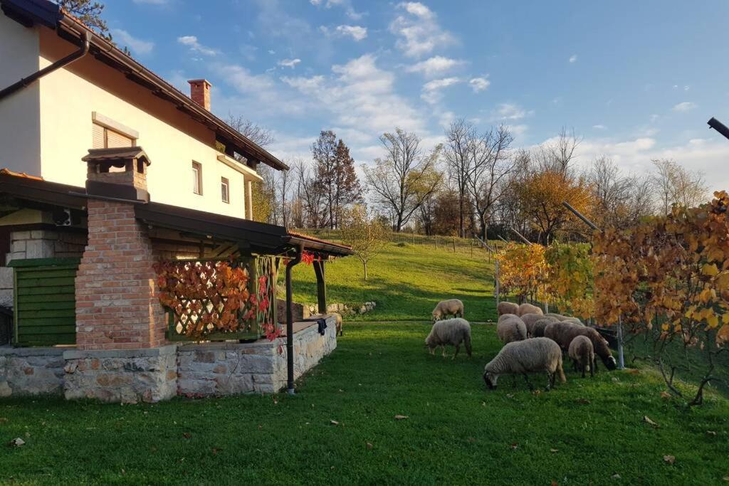Guest House Pinus Generalski Stol Bagian luar foto
