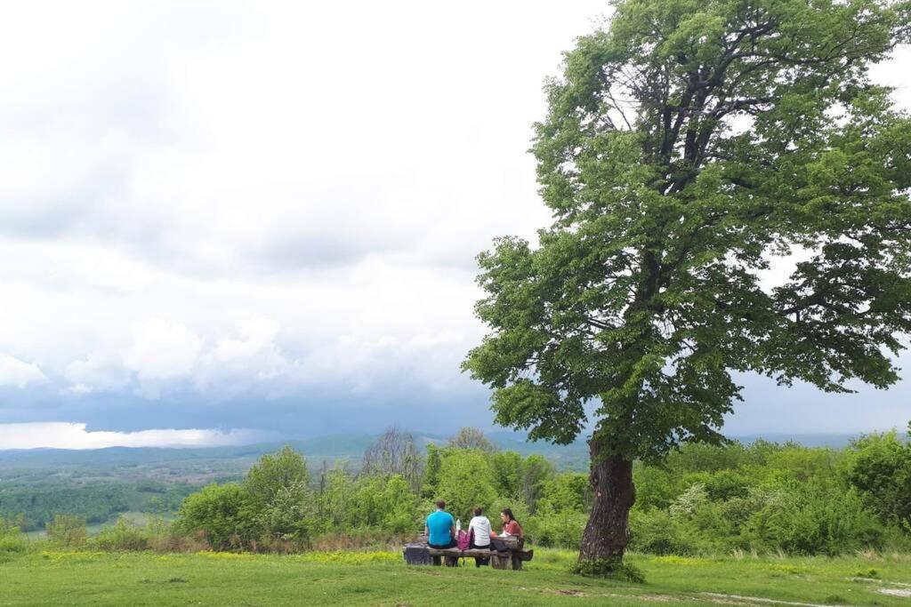 Guest House Pinus Generalski Stol Bagian luar foto